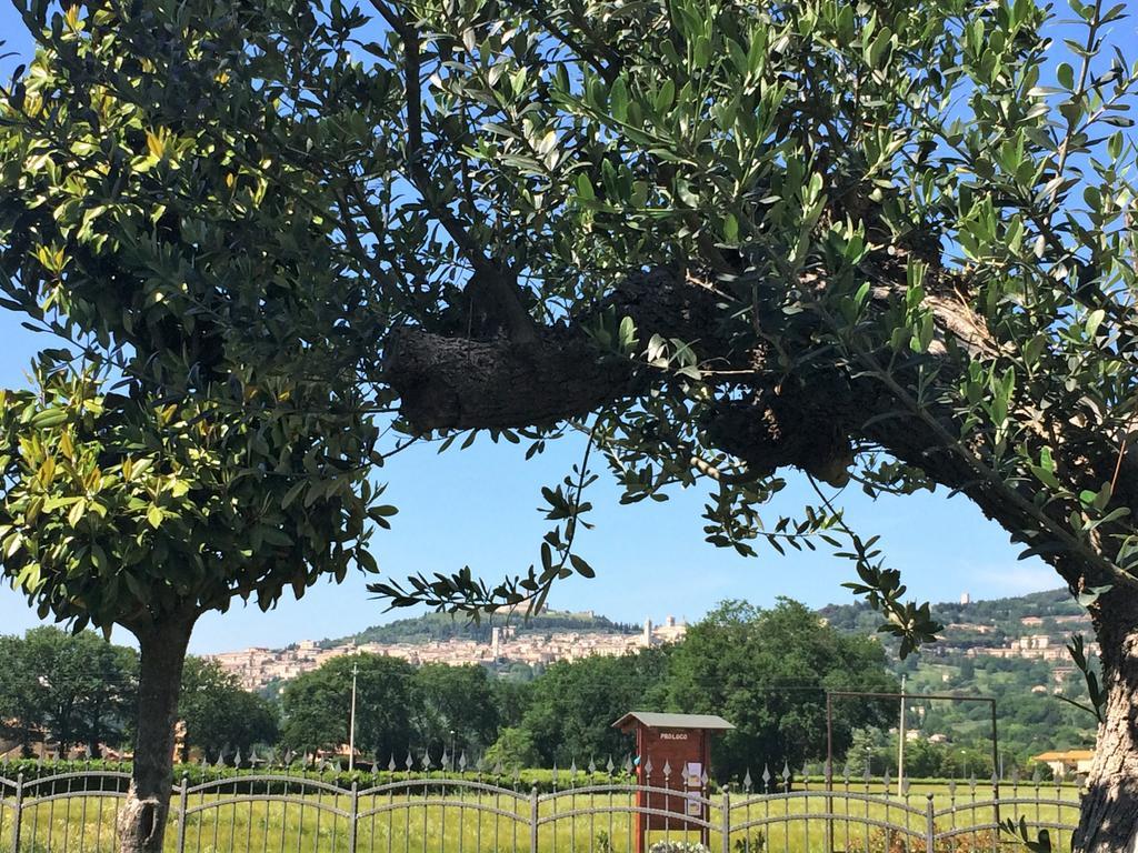 Residenza Il Rivo Lägenhet Rivotorto Exteriör bild